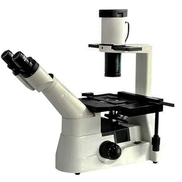 Microscopio Biologico Invertit - Medical Lab Observer recensione e prezzo