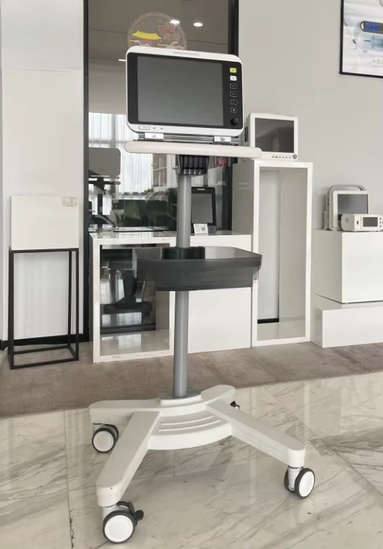 Attrezzatura Veterinaria EX-19 - Medical Lab Furniture recensione e prezzo