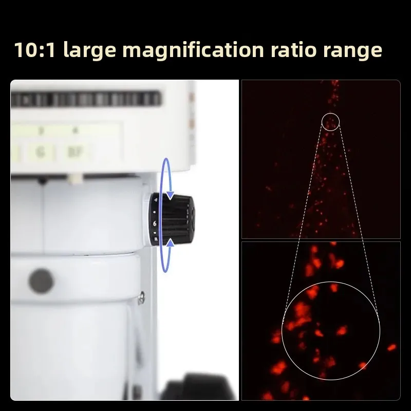 Microscopio a fluorescenza per - Medical Lab Observer recensione e prezzo